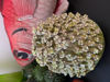 Afbeeldingen van Vaas met bloemen van keramiek