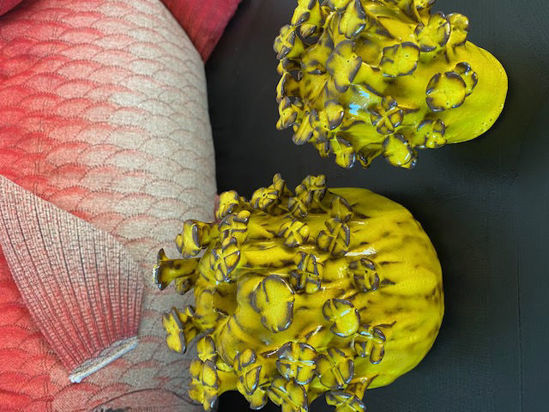 Afbeeldingen van 2 Bloemen vaasjes