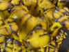 Afbeeldingen van 2 Bloemen vaasjes