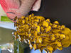 Afbeeldingen van 2 Bloemen vaasjes
