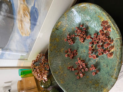 Afbeeldingen van Grote paddenstoelen schaal